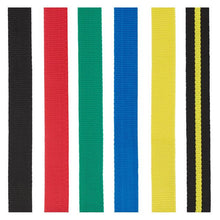 Load image into Gallery viewer, Nrs 1" Colored Webbing Yellow
